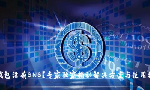 TP钱包没有BNB？专家独家揭秘解决方案与使用秘诀