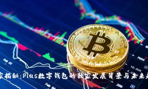 专家揭秘：Plus数字钱包的独家发展背景与未来趋势