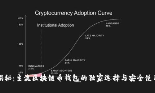 专家揭秘：主流区块链币钱包的独家选择与安全使用秘诀