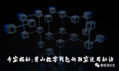 专家揭秘：萧山数字钱包的独家使用秘诀