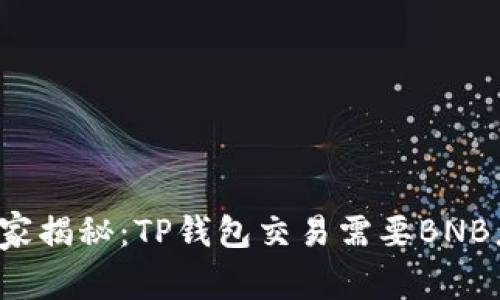 专家独家揭秘：TP钱包交易需要BNB怎么办？