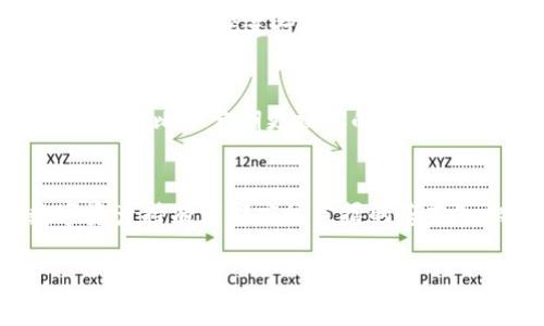 数字钱包ID号码通常是每个数字钱包用户的唯一标识符。它允许用户在发送和接收数字资产时识别自己的账户。不同数字钱包的ID号码格式和生成方式可能有所不同，具体如下：

1. **什么是数字钱包ID号码？**
   数字钱包ID号码可以理解为你在区块链网络上的“地址”，大致相当于银行账户的账号。这个号码非常重要，因为它是你安全存储和转移数字货币（如比特币、以太坊等）的关键。

2. **如何找到你的数字钱包ID号码？**
   通常，在打开你的数字钱包应用后，你可以在主界面或设置中找到这个ID号码。在一些钱包中，它可能被称为“公钥”或“钱包地址”。简单来说，只要你在你所使用的钱包中稍加搜索，你就能轻易找到了。

3. **为什么数字钱包ID号码重要？**
   说真的，数字钱包的ID号码至关重要。因为每次你进行交易时，都是通过这个ID号码来识别你和接收者的。因此，确保这个号码的准确性是非常重要的，错误的ID号码可能导致资金的损失。

4. **与数字钱包ID号码相关的安全性**
   你知道吗？虽然数字钱包ID号码是公开的，但仍然需要保持谨慎。恶意用户可能利用你的ID号码进行网络攻击，比如钓鱼攻击等。因此，及时更新你的钱包安全设置，增加双重验证等措施，都是必须的哦！

5. **如何保护你的数字钱包ID号码？**
   保护你的ID号码就像保护你的密码一样重要。有时候，简单的措施就能起到很好的效果，比如定期更换你的钱包地址，避免在公共场合透露你的ID号码，使用强密码和双重认证等。

6. **总结**
   总之，数字钱包ID号码是你数字资产安全的重要部分，理解并妥善使用是每个数字资产持有者都应该掌握的基本知识。

希望这些信息对你有所帮助！如果还有其他数字钱包相关的问题，随时来问！