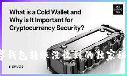 专家揭秘：数字钱包转账没收到的独家秘诀与解决方案