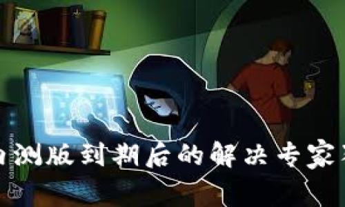 TP钱包内测版到期后的解决专家独家秘诀