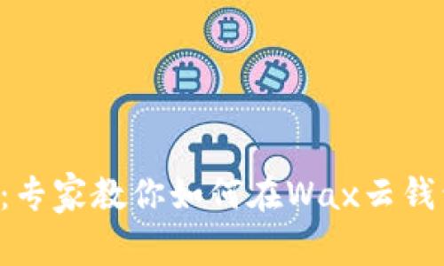 ziaoti独家揭秘：专家教你如何在Wax云钱包中导入TP秘诀