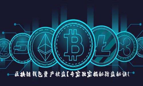 区块链钱包资产被盗？专家独家揭秘防盗秘诀！