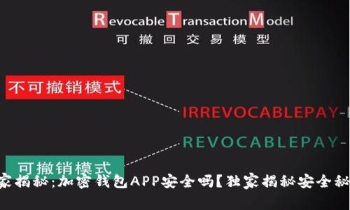专家揭秘：加密钱包APP安全吗？独家揭秘安全秘诀！