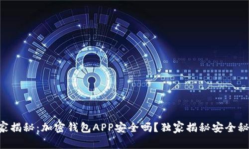 专家揭秘：加密钱包APP安全吗？独家揭秘安全秘诀！