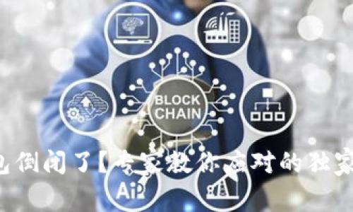 TP钱包倒闭了？专家教你应对的独家秘诀！