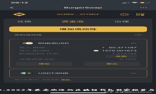 专家揭秘：2023年最受欢迎的区块链钱包独家推荐与使用秘诀