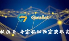 区块链钱包样板图片：专家揭秘独家获取高清资