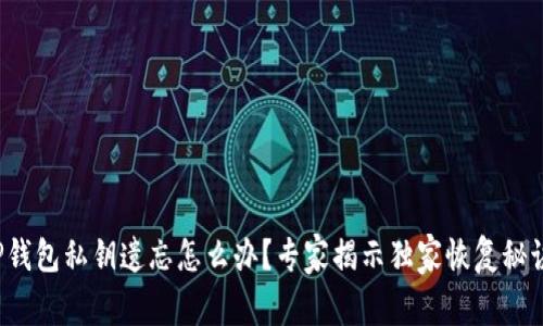 TP钱包私钥遗忘怎么办？专家揭示独家恢复秘诀！