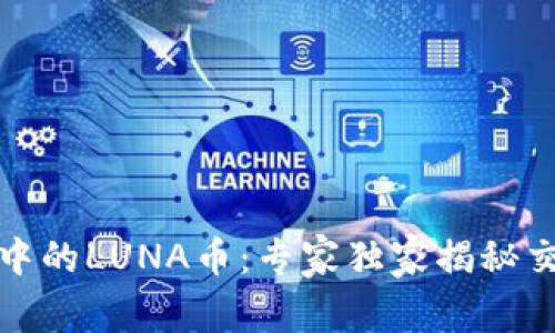 TP钱包中的LUNA币：专家独家揭秘交易秘诀