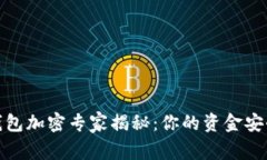 抖音钱包加密专家揭秘：你的资金安全秘诀