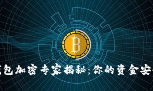 抖音钱包加密专家揭秘：你的资金安全秘诀