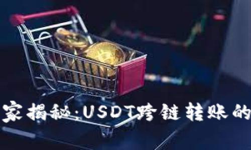 TP钱包独家揭秘：USDT跨链转账的专家秘诀