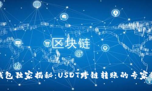 TP钱包独家揭秘：USDT跨链转账的专家秘诀