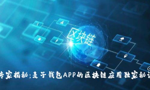 专家揭秘：麦子钱包APP的区块链应用独家秘诀