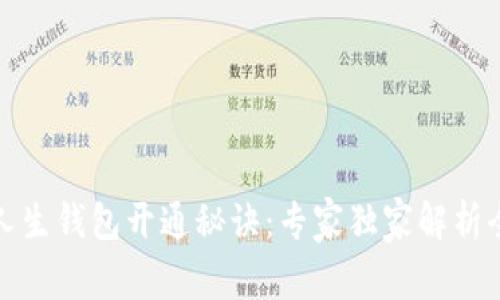 数字人生钱包开通秘诀：专家独家解析全流程