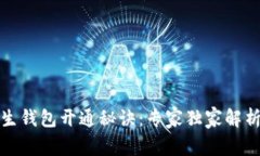 数字人生钱包开通秘诀：专家独家解析全流程