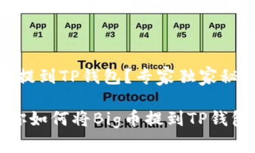 如何将Big币提到TP钱包？专家独家秘诀分享

一步一步教你如何将Big币提到TP钱包的独家秘诀