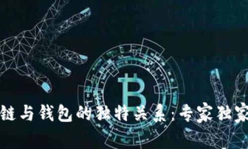 揭秘区块链与钱包的独特关系：专家独家秘诀解读