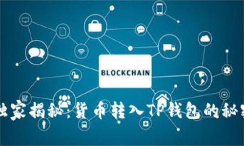 专家独家揭秘：货币转入TP钱包的秘密指南