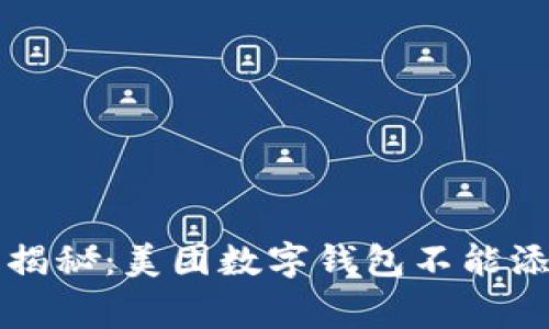 专家独家揭秘：美团数字钱包不能添加的秘诀