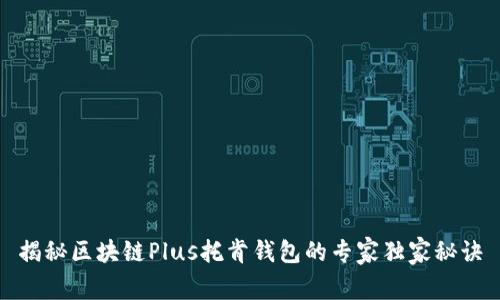 揭秘区块链Plus托肯钱包的专家独家秘诀