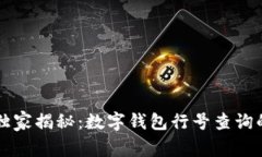专家独家揭秘：数字钱包行号查询的秘诀