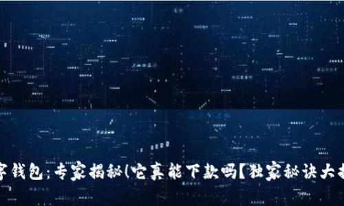 数字钱包：专家揭秘！它真能下款吗？独家秘诀大揭晓