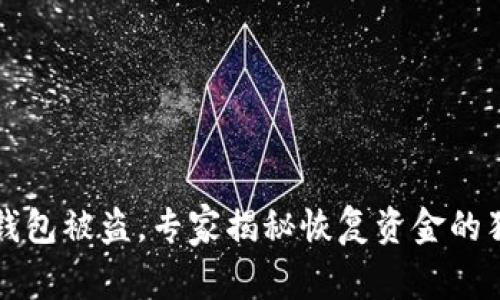 区块链钱包被盗，专家揭秘恢复资金的独家秘诀
