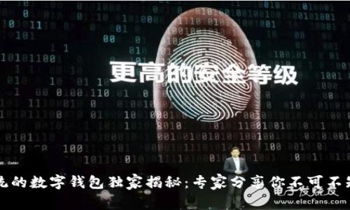 法国总统的数字钱包独家揭秘：专家分享你不可不知的秘诀