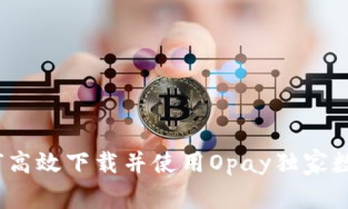 专家揭秘：如何高效下载并使用Opay独家数字钱包的秘诀