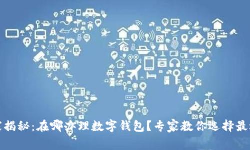 2023年独家揭秘：在哪办理数字钱包？专家教你选择最适合的方案！