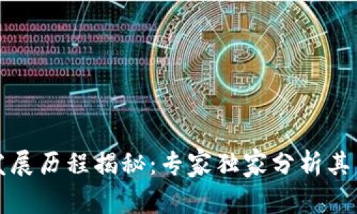 TP钱包发展历程揭秘：专家独家分析其中的秘诀