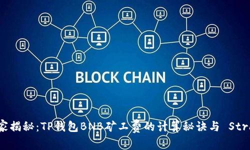 专家独家揭秘：TP钱包BNB矿工费的计算秘诀与 Strategies