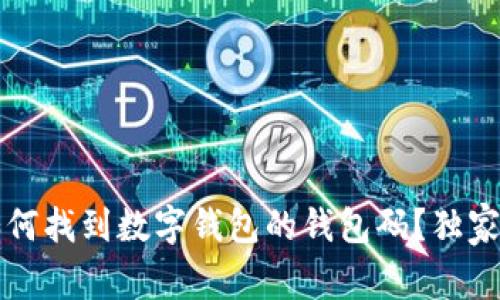 专家解密：如何找到数字钱包的钱包码？独家秘诀大揭秘！