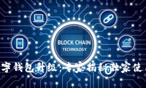 美团数字钱包升级：专家揭秘独家使用秘诀！