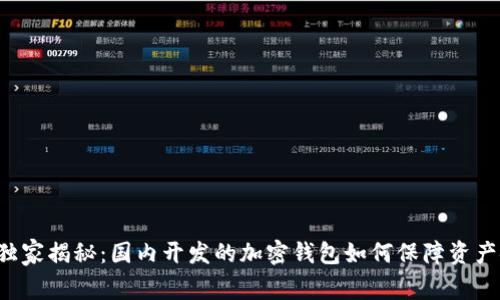 专家独家揭秘：国内开发的加密钱包如何保障资产安全？