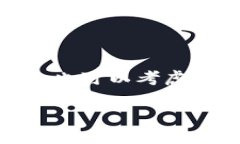 在tp钱包（TokenPocket）中使用时，持有BNB（币安币