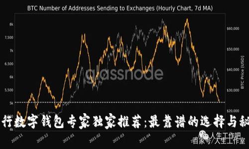 工行数字钱包专家独家推荐：最靠谱的选择与秘诀