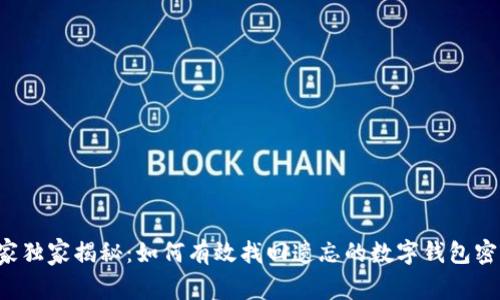 专家独家揭秘：如何有效找回遗忘的数字钱包密码？