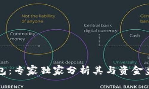 揭秘区块链钱包：专家独家分析其与资金盘的区别与联系