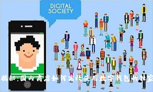 专家揭秘：国内商店如何高效使用数字钱包的独家秘诀