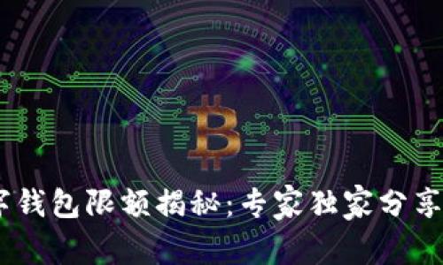 ibaoti数字钱包限额揭秘：专家独家分享使用秘诀！