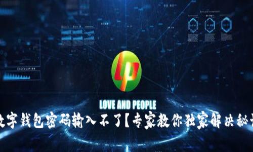 数字钱包密码输入不了？专家教你独家解决秘诀