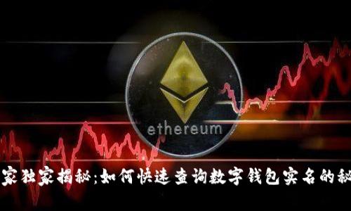 专家独家揭秘：如何快速查询数字钱包实名的秘诀