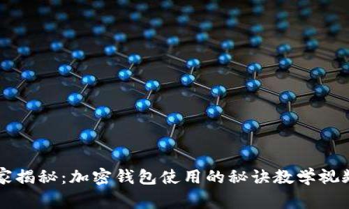 专家独家揭秘：加密钱包使用的秘诀教学视频大解析