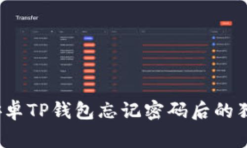 专家揭秘：安卓TP钱包忘记密码后的独家解决秘诀